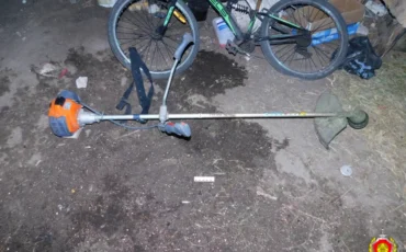 Фото: Госкомитет судебных экспертиз