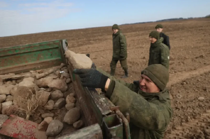 Весной на Гродненщине военные собирали на полях камни / БЕЛТА