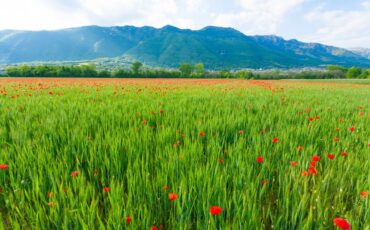 В Узбекистане нашли два высокогорных города / фото ua.depositphotos.com