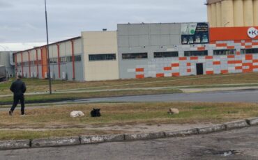 Фото из сети