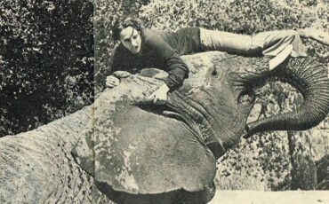 Сцена фильма, в которой актриса получила тяжелые травмы / фото wikipedia.org