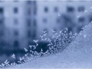 фото используется в качестве иллюстрации