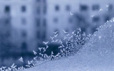 фото используется в качестве иллюстрации