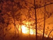 Фото используется в качестве иллюстрации