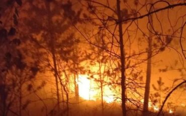 Фото используется в качестве иллюстрации