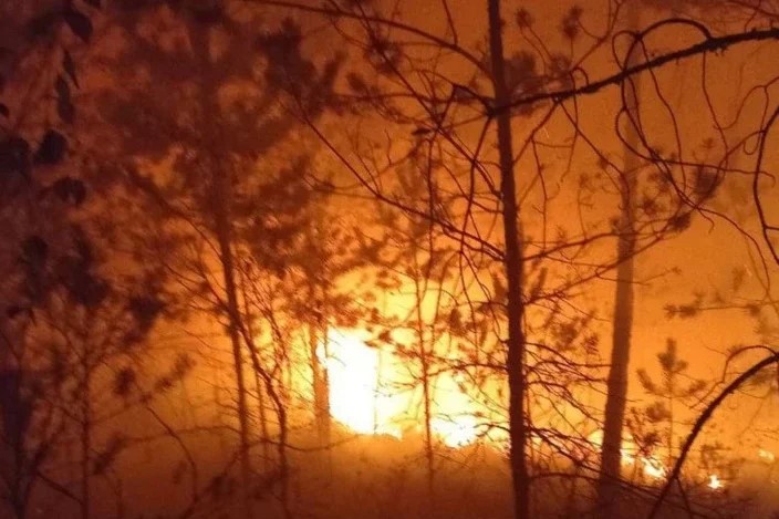 Фото используется в качестве иллюстрации