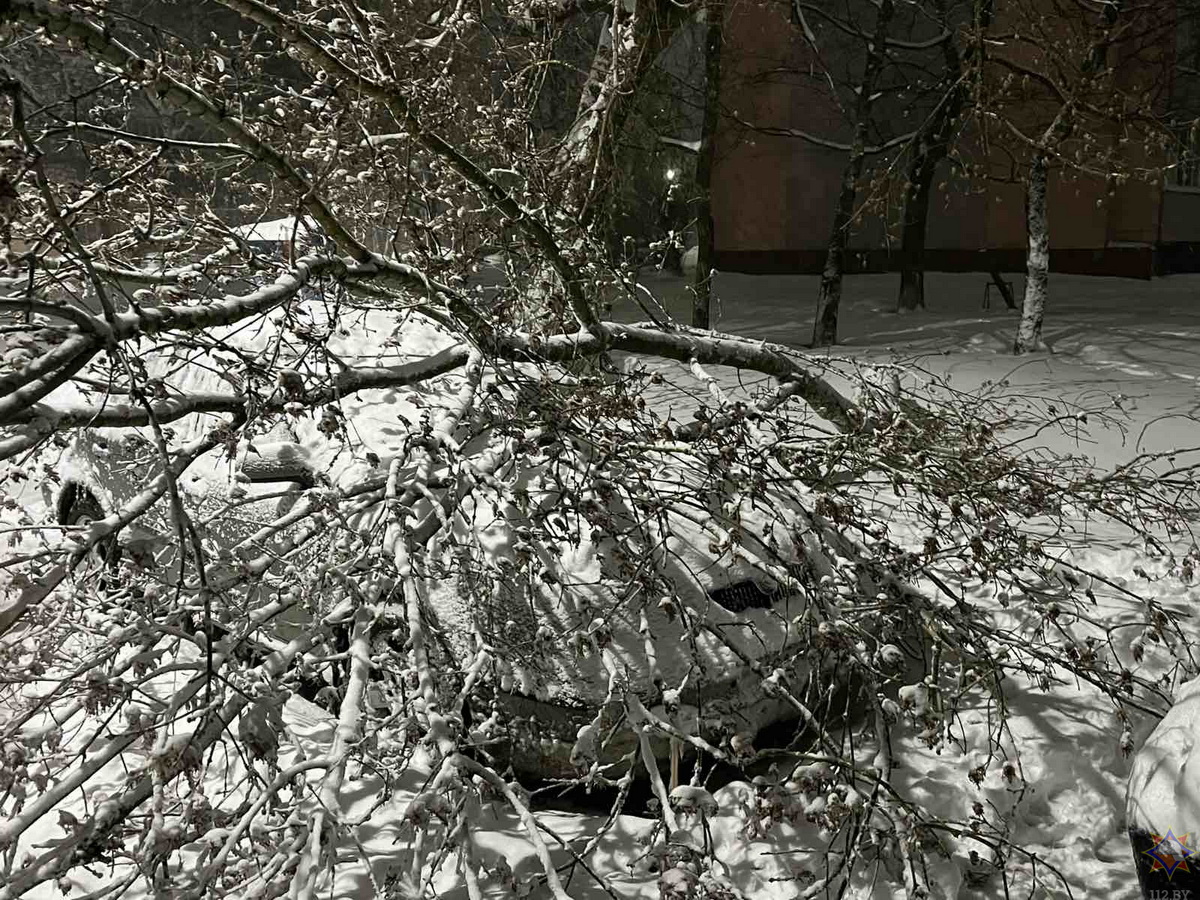 МЧС показало последствия непогоды