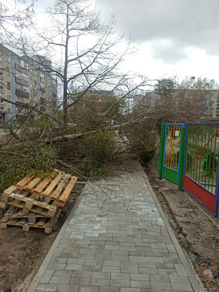 МЧС показало последствия непогоды