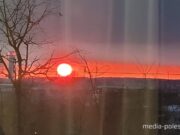 Иллюстрация Медиа-Полесье