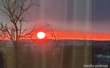 Иллюстрация Медиа-Полесье