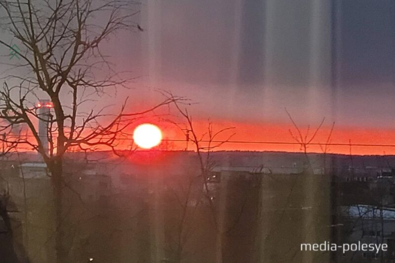 Иллюстрация Медиа-Полесье