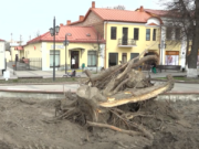 Фото читателей