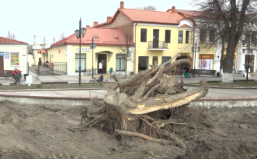 Фото читателей