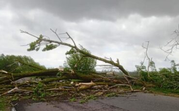 Последствия бури в Столинском районе