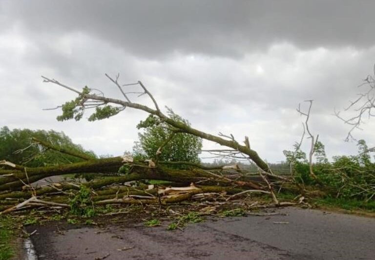 Последствия бури в Столинском районе