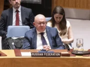 Фото: Lev Radin / Pacific Press / LightRocket via Getty Images