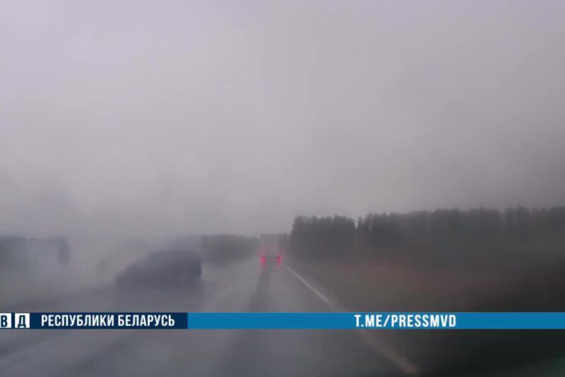 Скриншот видео МВД