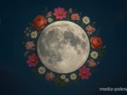 Цветочная луна, media-polesye.com