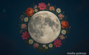 Цветочная луна, media-polesye.com