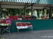 Фото используется в качестве иллюстраццици