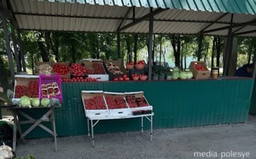 Фото используется в качестве иллюстраццици