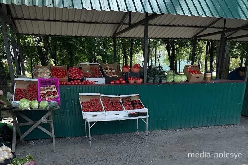 Фото используется в качестве иллюстраццици