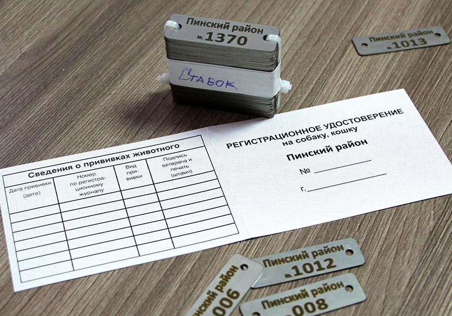 Фото: Пинский телеграм