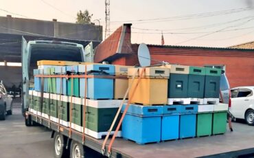 Фото: 32.fsvps.gov.ru