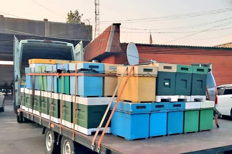 Фото: 32.fsvps.gov.ru