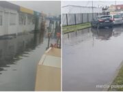 Пинск, рынок солнечный, коллаж Медиа Полесье, на коллаже скриншоты из видео.