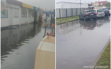 Пинск, рынок солнечный, коллаж Медиа Полесье, на коллаже скриншоты из видео.