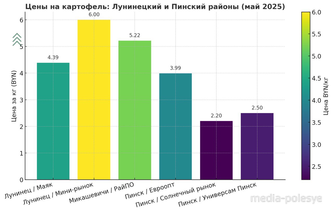 Инфографика Медиа-Полесье