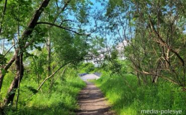Фото иллюстрационное, media-polesye.com