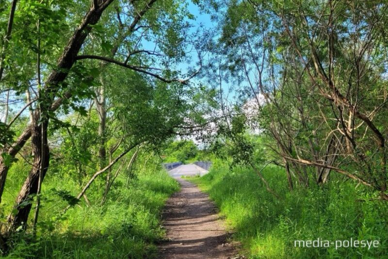 Фото иллюстрационное, media-polesye.com