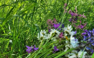 Фото иллюстрационное, media-polesye.com