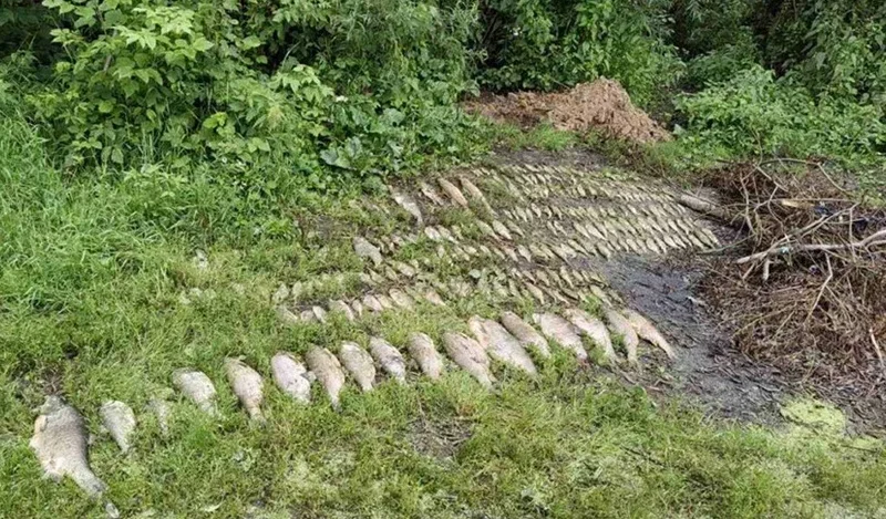 Фото: Борисовский РОВД