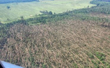 Фото: Минлесхоз