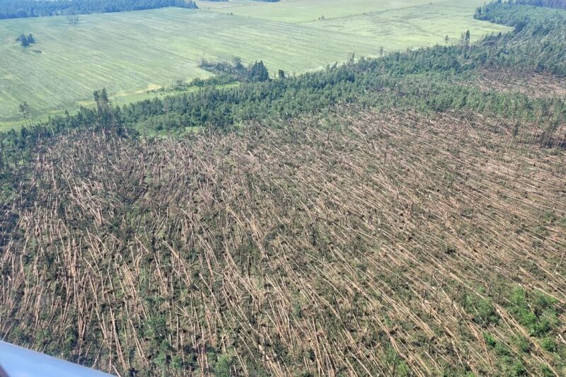 Фото: Минлесхоз