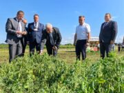 Фото: #1регион