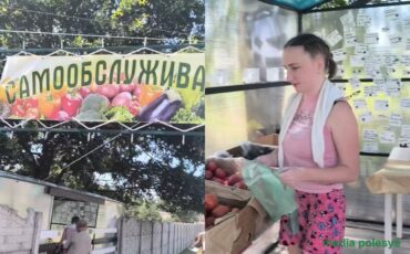 Коллаж media polesye, скриншоты из видео