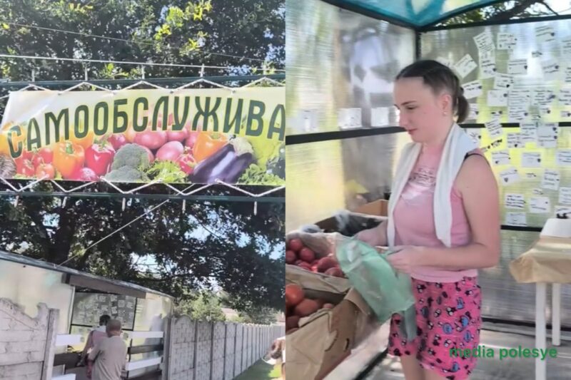 Коллаж media polesye, скриншоты из видео