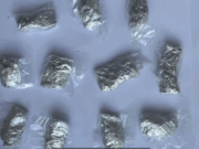 Скриншот видео УВД Брестского облисполкома