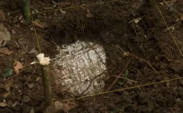 Руины города были идентифицированы учеными / скриншот