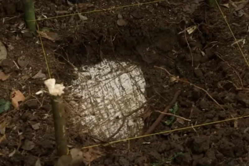 Руины города были идентифицированы учеными / скриншот