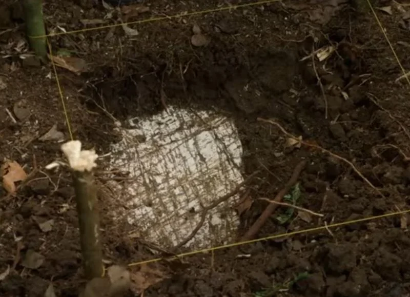 Руины города были идентифицированы учеными / скриншот