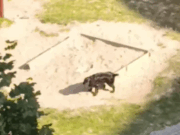 Скриншот видео, соцсети