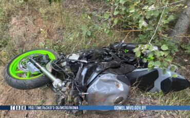 В Гомельской области байкер столкнулся с лосем. Погибли оба