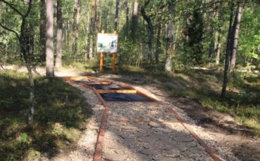 На территории заказника «Лунинский» в Лунинецком районе появилась экологическая тропа