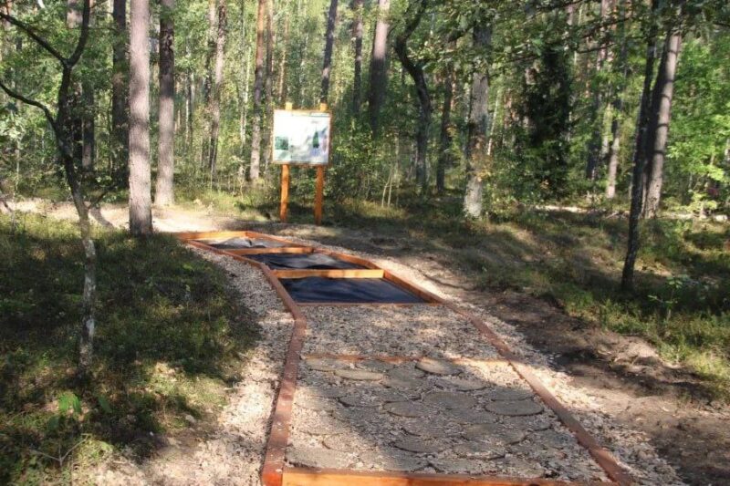 На территории заказника «Лунинский» в Лунинецком районе появилась экологическая тропа