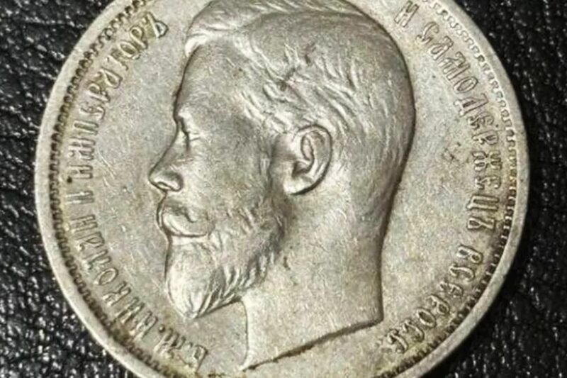 В Лунинце в суд передано дело студентов-мошенников: продавали «монеты-призраки»